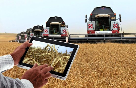 Единая цифровая агроплатформа: новые возможности для аграриев