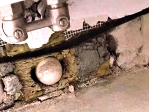 Яйца в стенах: новостройки превращаются в зловонные ловушки ради наживы