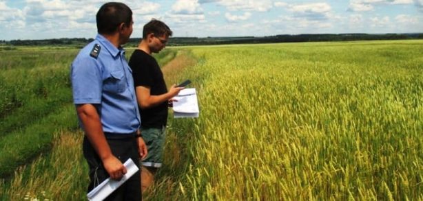 В Саратовской области в 2025 году введут в оборот не менее 30 тысяч гектаров пашни
