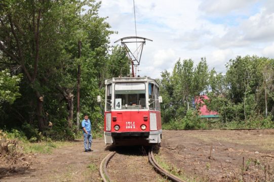 Жители Саратова определили наиболее востребованные виды транспорта