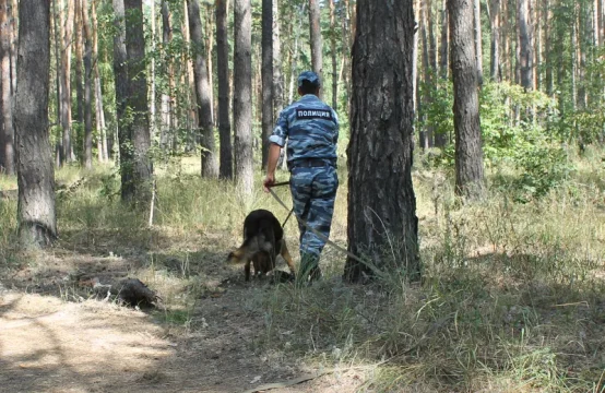 Сколько людей в регионе пропало без вести