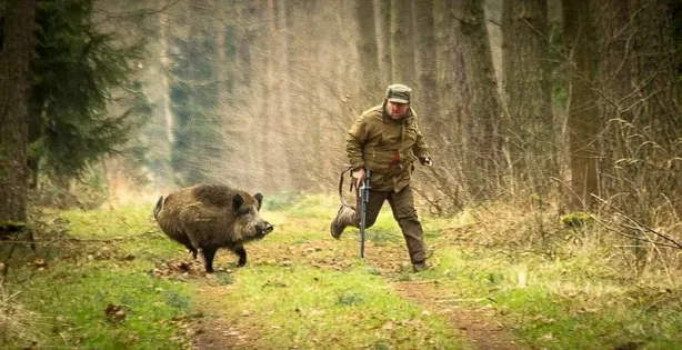 Сегодня в регионе открывается охота на сурка и степного кабана