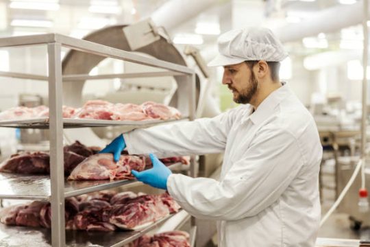 В России могут  ввести уголовную ответственность за «мясной клей»