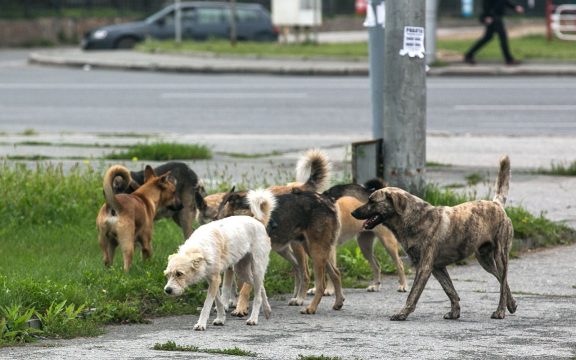 Главе администрации Фрунзенского района Саратова внесено представление