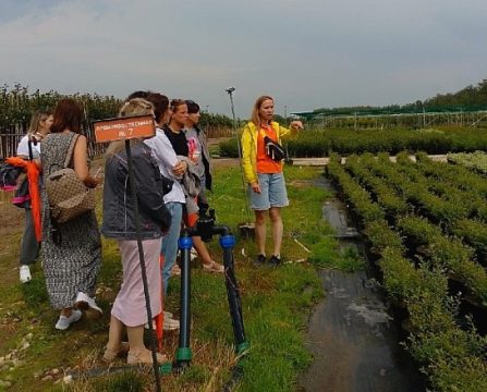 В Саратове будет не хуже, чем в Подмосковье
