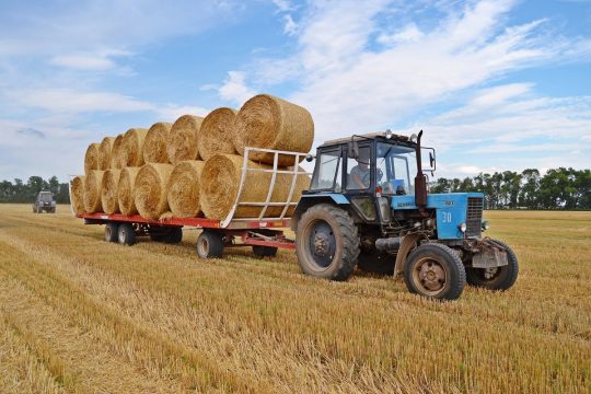 Российские сельхозпроизводители наращивают экспорт сена