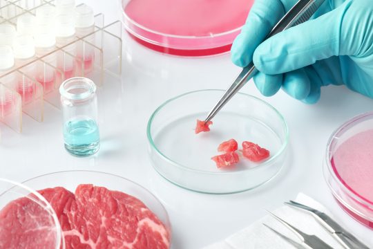 Обнаружены  опасные бактерии в мясе из Беларуси