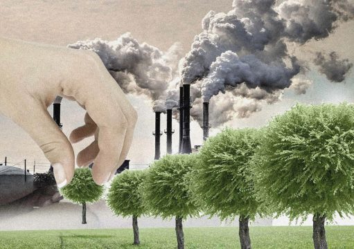 В России утвердят новые базовые ставки экологического сбора с 2026 года