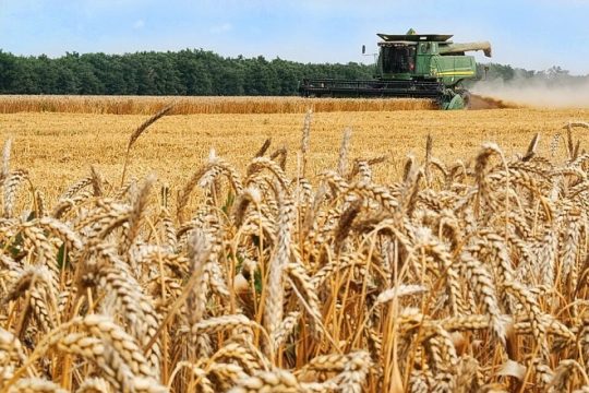 Усиливаются кризисные явления в сельскохозяйственной отрасли