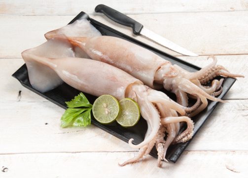 Какие кальмары безопасны для потребителя