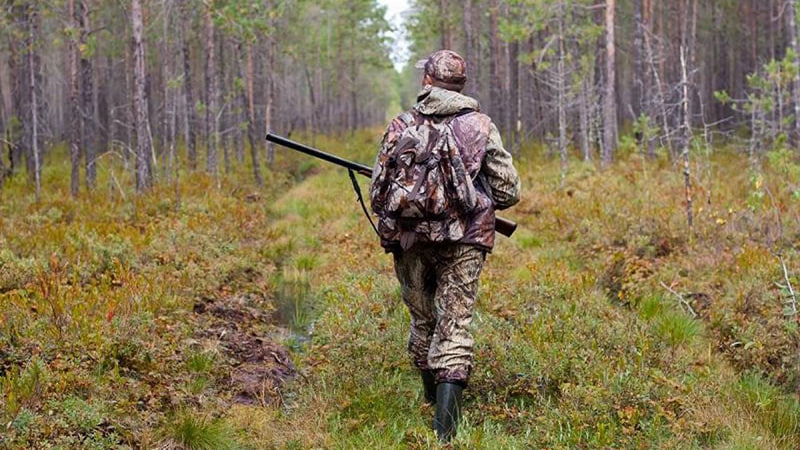 Кабмин утвердил новые правила получения охотничьего билета