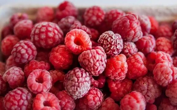 В Великобритании создали малину с улучшенными характеристиками