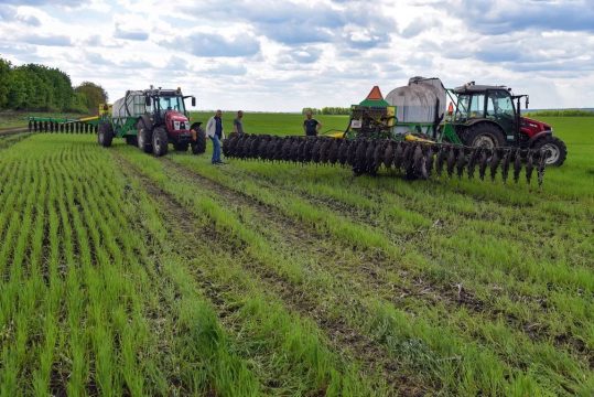 В России засеяно более 30 процентов озимых