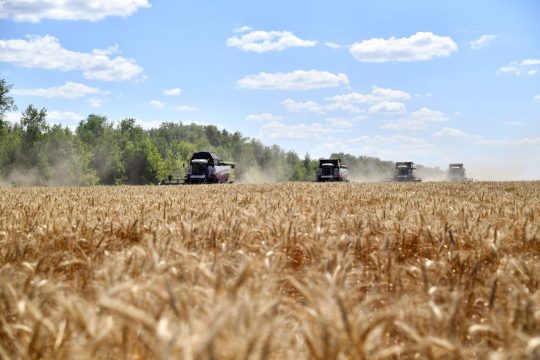 Хлеборобы Саратовской области собрали 4,5 миллиона тонн зерновых