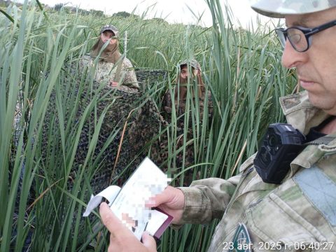 В регионе продолжают охотиться без официальных разрешений