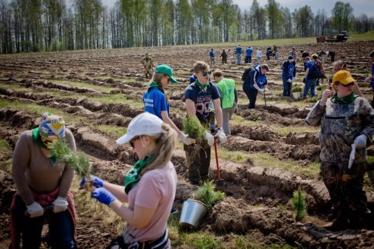 Осенью в Саратовской области начнут сажать