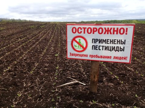 Эксперты предложили ввести уголовную ответственность за нелегальное применение пестицидов