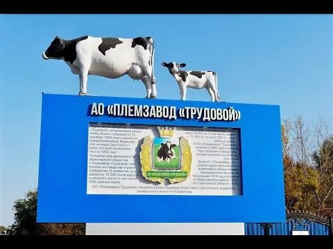 В Саратовской области  реализуются несколько крупных инвестпроектов