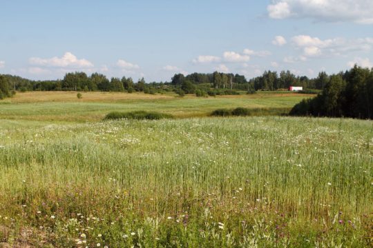 В Тульской области изымают земли за неиспользование по назначению