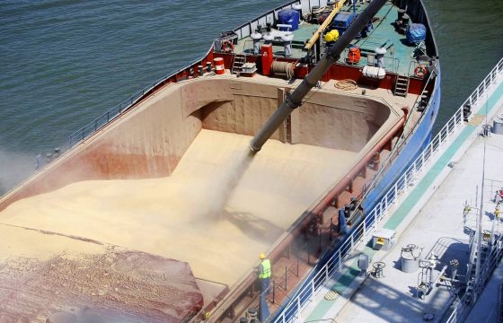 Мировой рынок пшеницы — цены растут, конкуренция усиливается
