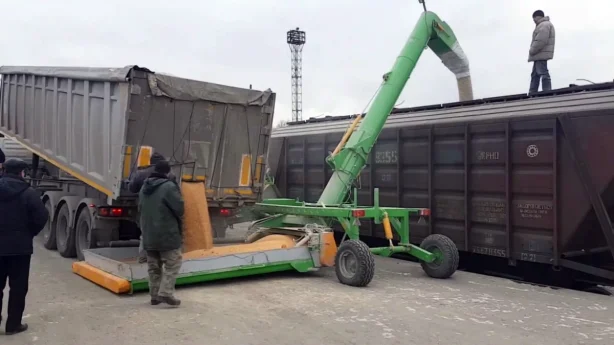 Российская пшеница незначительно теряет в цене на мировом рынке из-за конкуренции