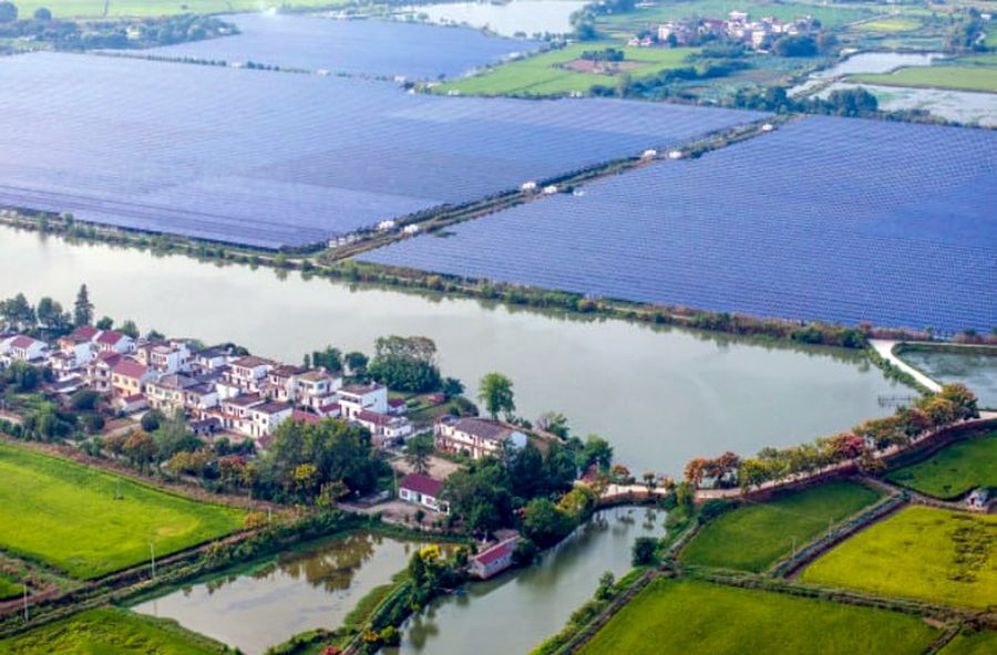 Китайская инновация — производство электроэнергии и разведение рыбы в одном проекте