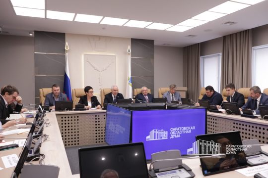 В Саратовской облдуме создадут рабочую группу для проверки законности приватизации объектов недвижимости