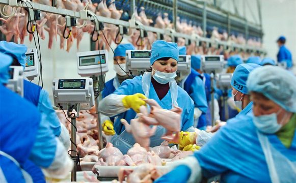 «Алтайский бройлер» с ноября повышает зарплаты сотрудникам на 15–30 процентов