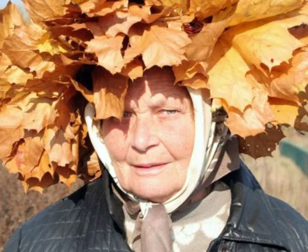 Опасный шёпот — осенние листья как скрытые убийцы