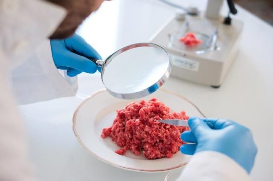 Россияне не хотят употреблять искусственное мясо