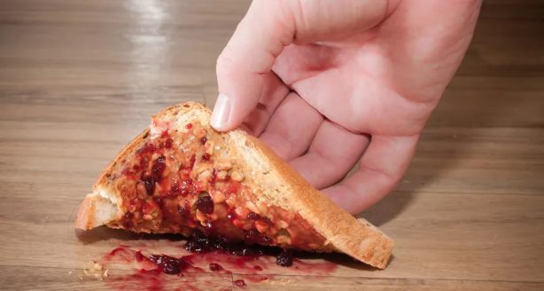 Развеян миф о «правиле пяти секунд» для упавшей на пол еды