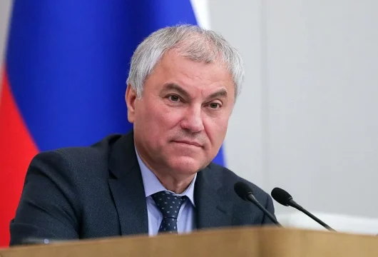 Мигранты, не узаконившие свой статус, покинут Россию