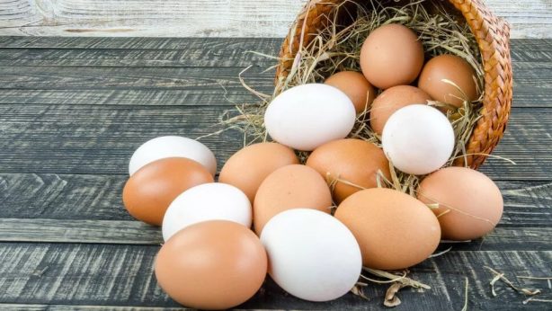Как выбирать и хранить яйца- этот популярный и доступный  продукт
