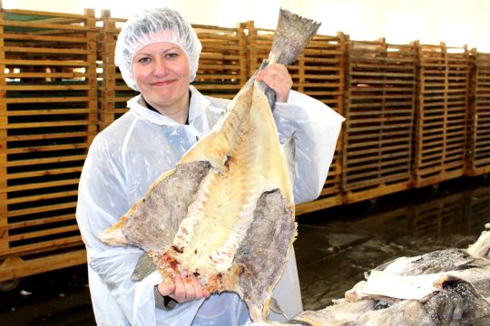 Россия в 2025 году начала экспортировать сушёную рыбу