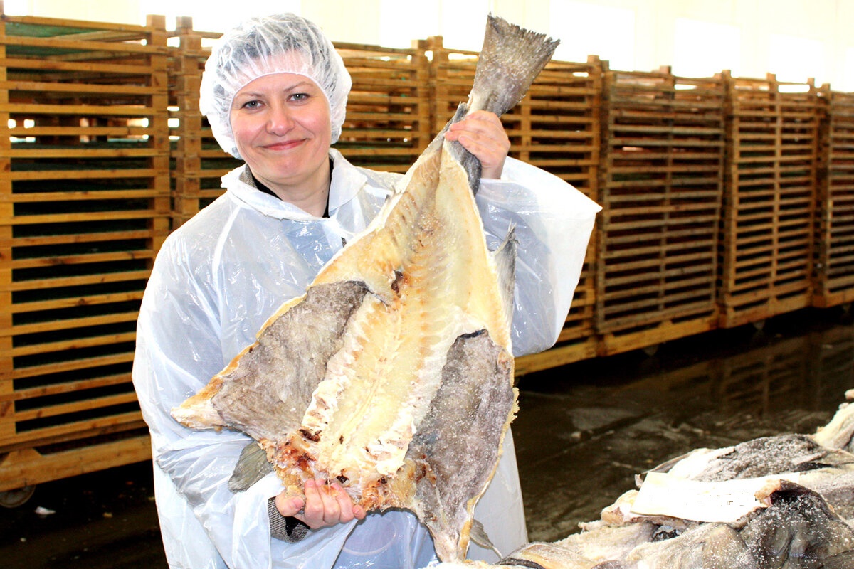 Россия в 2025 году начала экспортировать сушёную рыбу