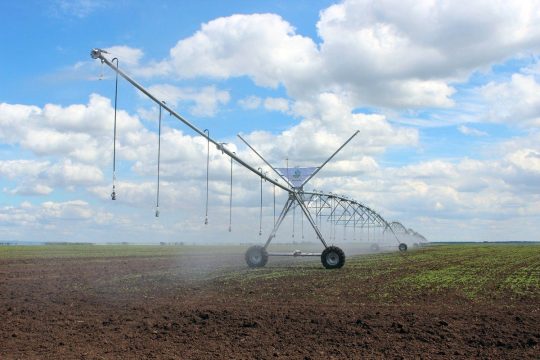 К 2030 году площадь орошаемых земель в России увеличится на 40 процентов