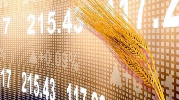 В Новороссийске в декабре заработает биржевая торговля зерном