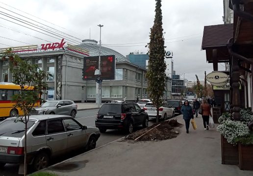 Власти Саратова вспомнили про системный подход к озеленению