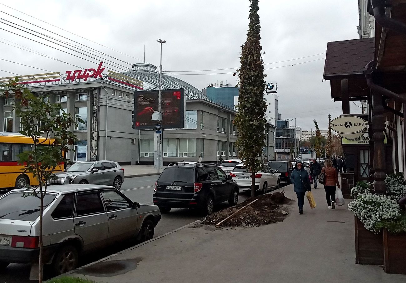 Власти Саратова вспомнили про системный подход к озеленению