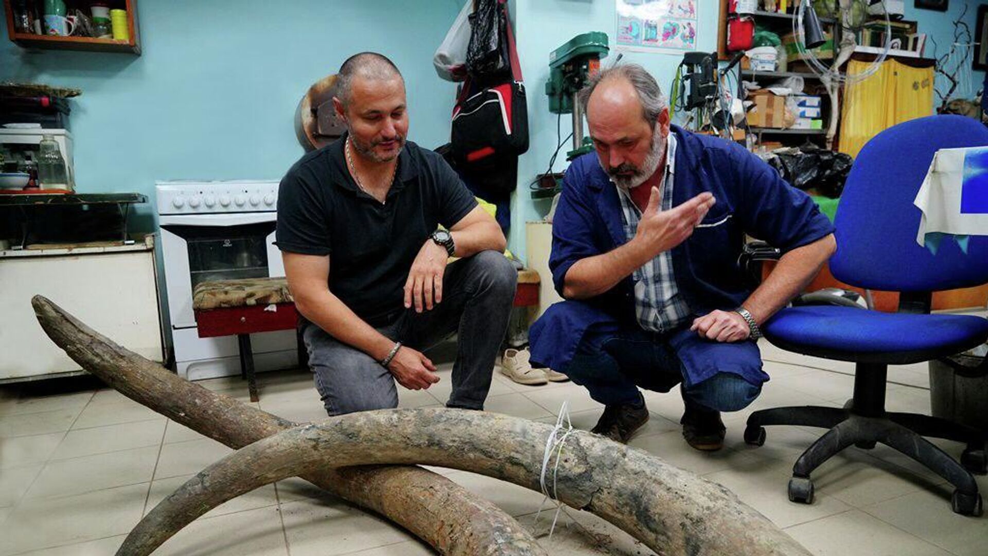 В Смоленской области торговали мамонтами