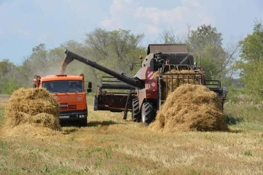 В России падает количество прибыльных сельхозпредприятий