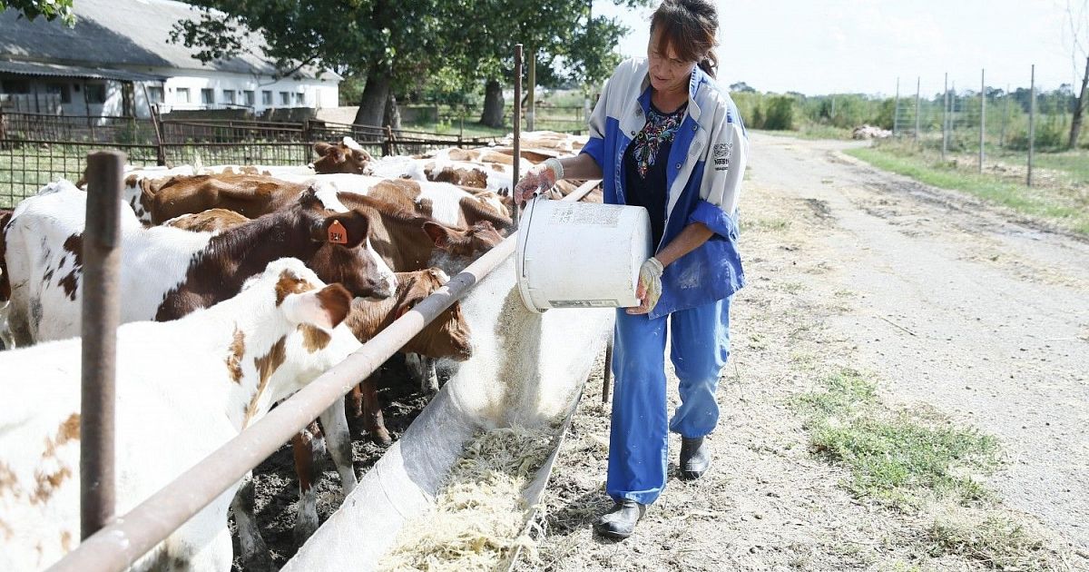 Минсельхоз увеличит господдержку фермеров
