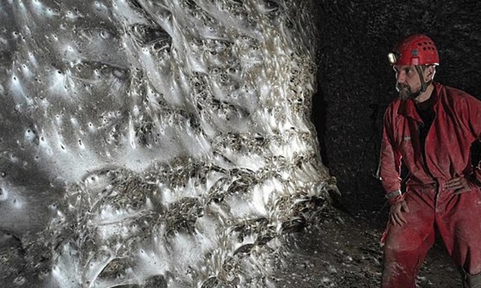 В Европе обнаружена самая большая в мире паутина