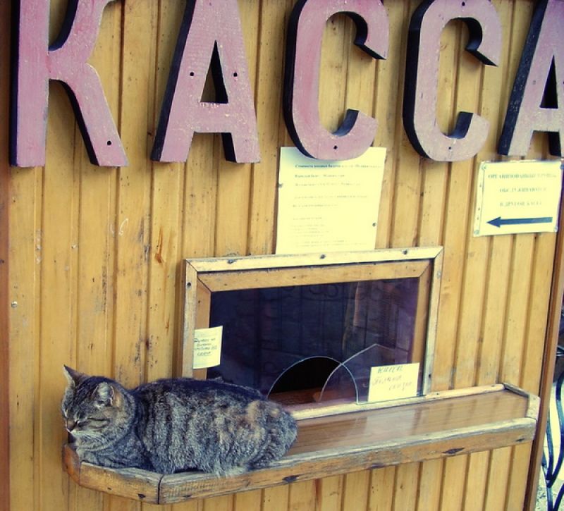 Управляющему парк-отелем в Хвалынске предлагают зарплату в 300 тысяч рублей