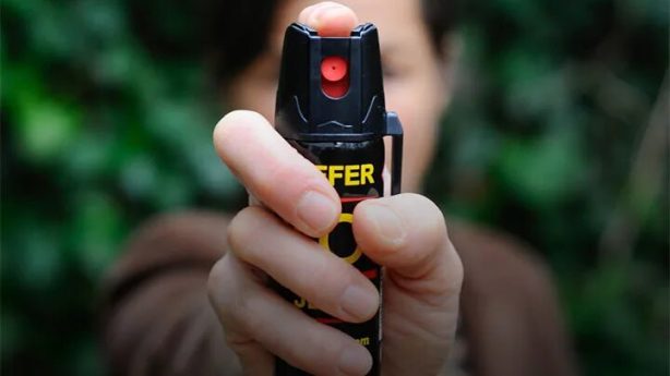 Мигрантам запретят покупать шокеры, перцовки и пневматику