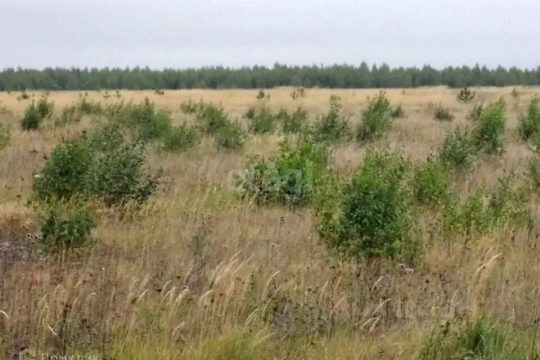 В Саратове изъятую землю выставили на торги