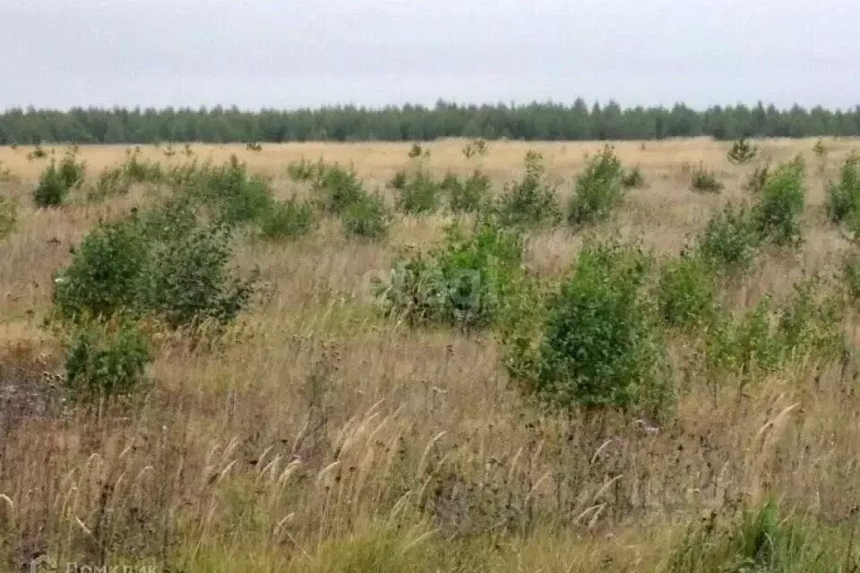 В Саратове изъятую землю выставили на торги