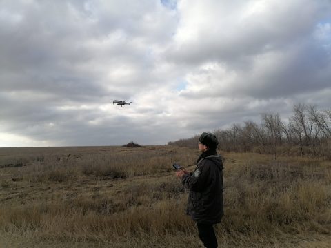 В трех районах области БПЛА обнаружил поля заросшие сорняком