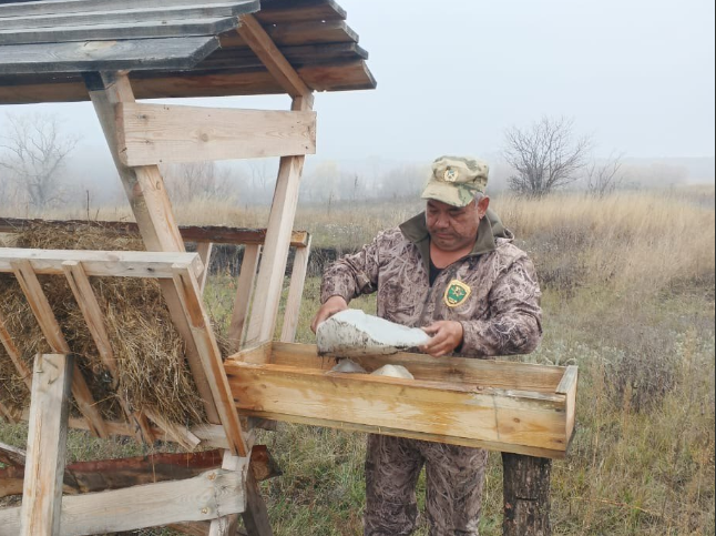 В трех районах области для  животных  заготовили  корм