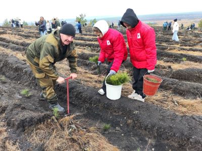 В Саратовской области осенью высадят три миллиона деревьев